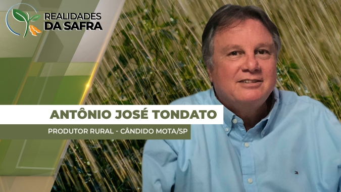 Cândido Mota/SP volta a receber chuvas que ajudam o desenvolvimento da soja