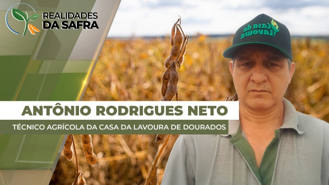 Faltando apenas 3% da soja por plantar, Laguna Carapã/MS tem boas chuvas para o desenvolvimento das lavouras