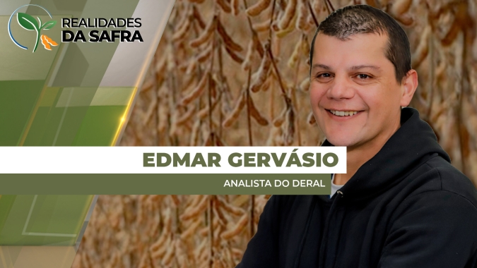 Produtor que precisar replantar a soja no Paraná terá aumento de mais de 33% no custo de produção