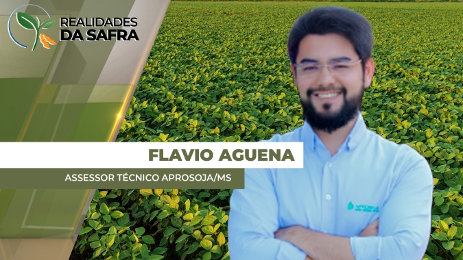 Mato Grosso do Sul chega a 100% do plantio de soja e apresenta bom desenvolvimento das lavouras
