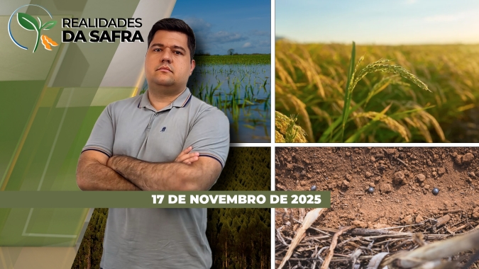 Soja de Goiás e de Diamantino/MT segue sofrendo com falta de chuvas e pode haver perda de potencial produtivo