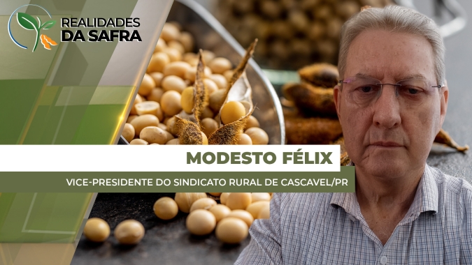 Cascavel/PR deve começar colheita da soja ainda em janeiro esperando boas produtividades