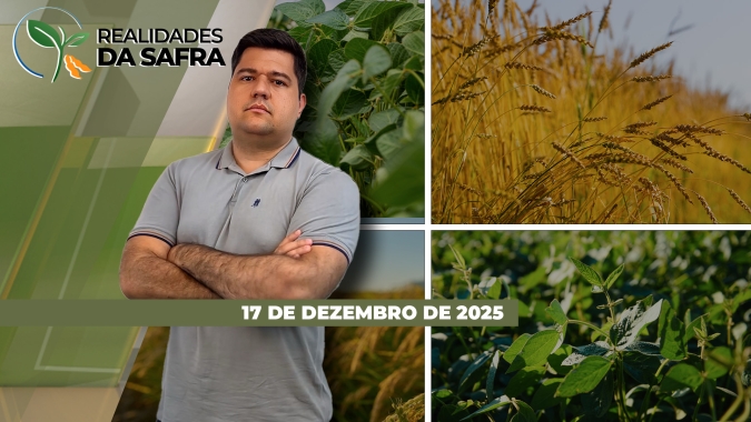 Mato Grosso segue com dificuldades para desenvolvimento da soja e espera reflexos atingindo o milho segunda safra