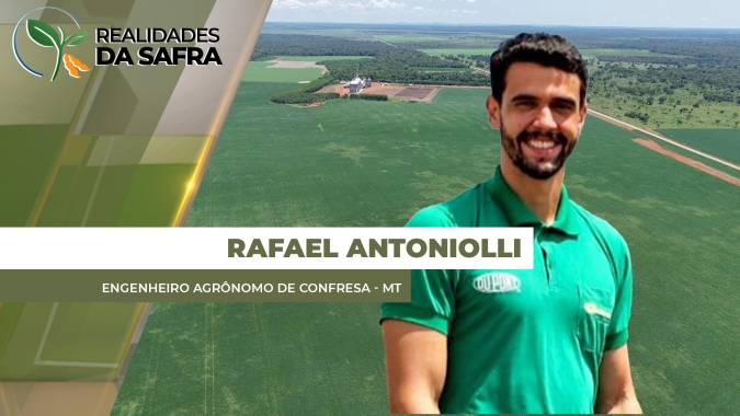 Colheita da soja avança em Confresa/MT com boa projeção de produtividade