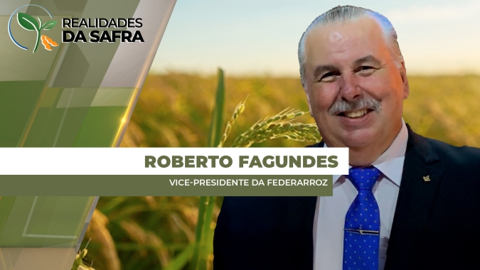 Com condições climáticas favoráveis, plantio do arroz chega em 90% da área plantada no RS