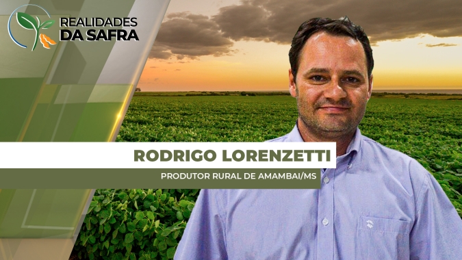 Plantio da soja entra na reta final em Amambai/MS, mas preços preocupam produtores