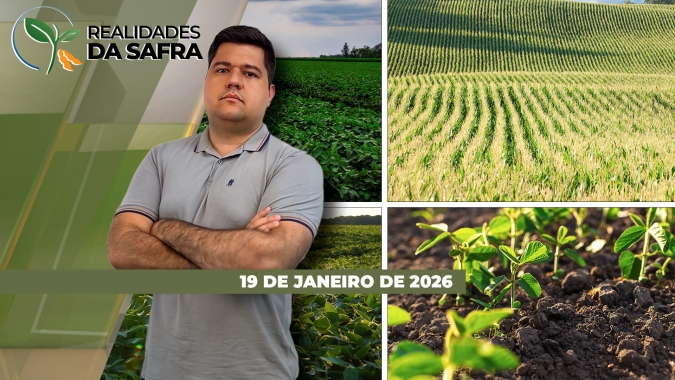 Safra de soja brasileira pode chegar a 182,2 milhões de toneladas, estima Rally da Safra