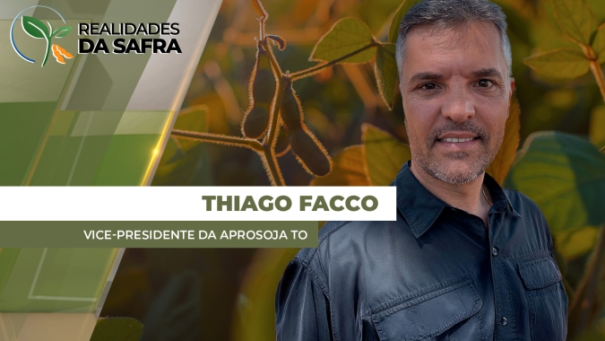 Após início complicado de plantio, Tocantins recebe chuvas para desenvolvimento da soja