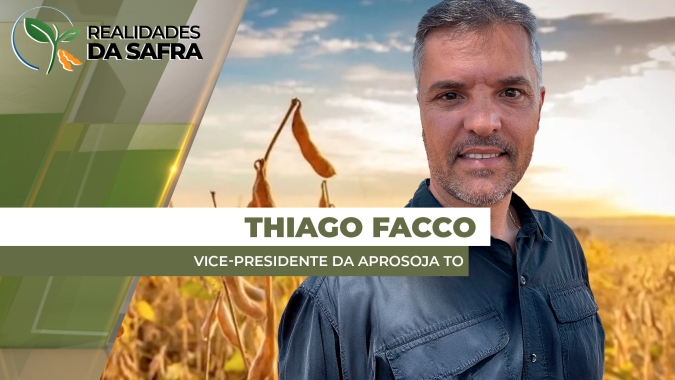Irregularidades das chuvas ainda impedem bom plantio da soja em Tocantins