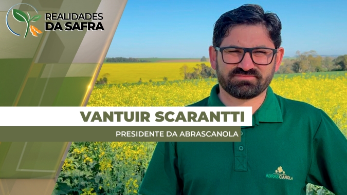 Colheita da canola chega na metade com produtividades positivas