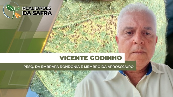 Rondônia teve chuva em todos os dias de dezembro e ferrugem asiática começa a aparecer nas lavouras de soja
