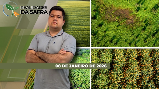 Boas produtividades são esperadas para soja de Guaíra/PR, que já começou a colher, e Amambai/MS, que se aproxima da colheita