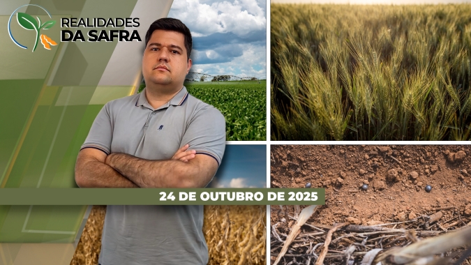 Plantio da soja já acabou em Guaíra/PR, mas avança lentamente em Guarda-Mor/MG e recém começou em Carazinho/RS