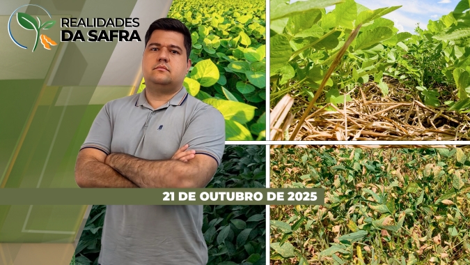 Campo Mourão/PR perto de terminar plantio da soja, enquanto trabalhos voltam a avançar no Vale do Araguaia/MT