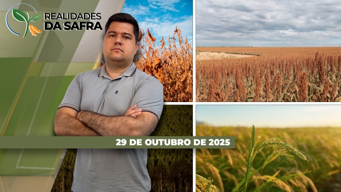 Safra de soja avança bem no Mato Grosso do Sul, mas começa a apresentar dificuldades em Nova Mutum/MT