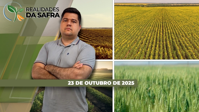Plantios da soja e milho verão seguem avançando pelo Brasil, mas algumas regiões enfrentam irregularidade climática