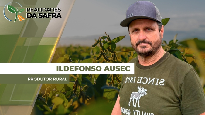 Soja sofre com irregularidade climática em Doutor Camargo/PR