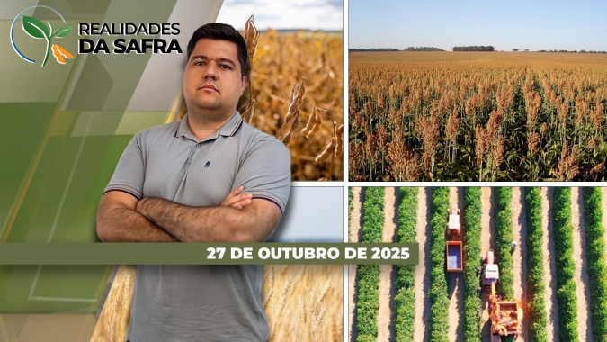Enquanto Laguna Carapã/MS está finalizando plantio da soja, Júlio de Castilhos/RS está iniciando a semeadura 25/26