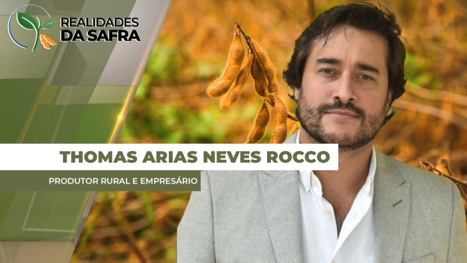 Colheita da soja começa em Araçatuba/SP após desenvolvimento prejudicado pelo clima