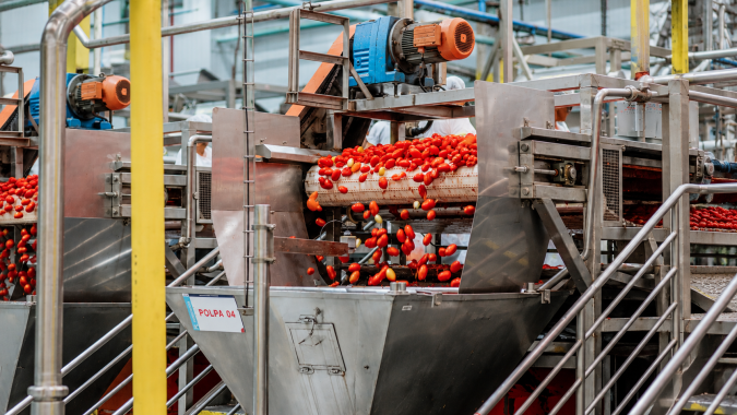 Brasil processa mais de 1 milhão de toneladas de tomate ao ano, mas ainda tem déficit em pasta