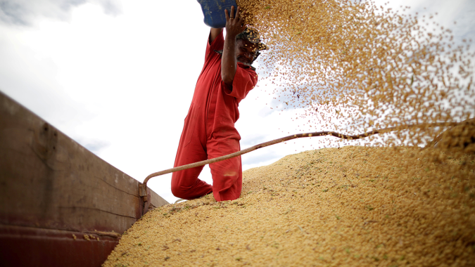 Bunge suspende novas exportações da Rússia; processamento de oleaginosas continua