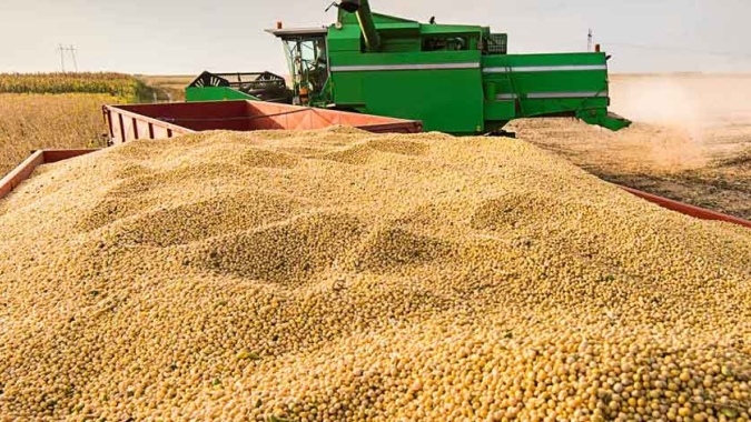 Secretaria de Agricultura busca apoio para aprimorar levantamento de safra no Estado de São Paulo