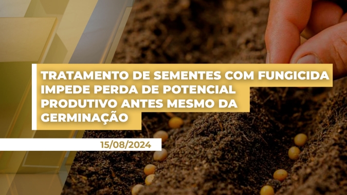 Tratamento de sementes com fungicida impede perda de potencial produtivo antes mesmo da germinação