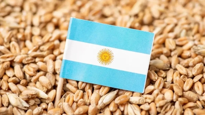 Vendas de trigo na Argentina ficam aquém do esperado