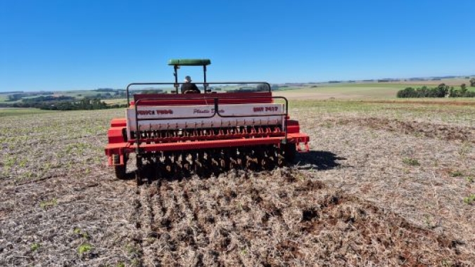 Inicia período recomendado de plantio de trigo no RS