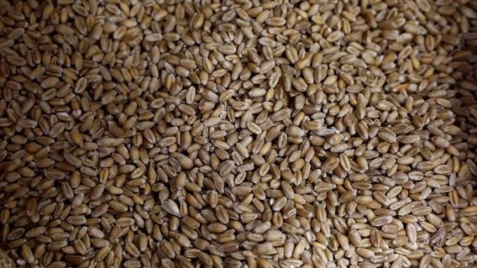 Cazaquistão espera resolver a tensão comercial agrícola com a Rússia dentro de uma semana