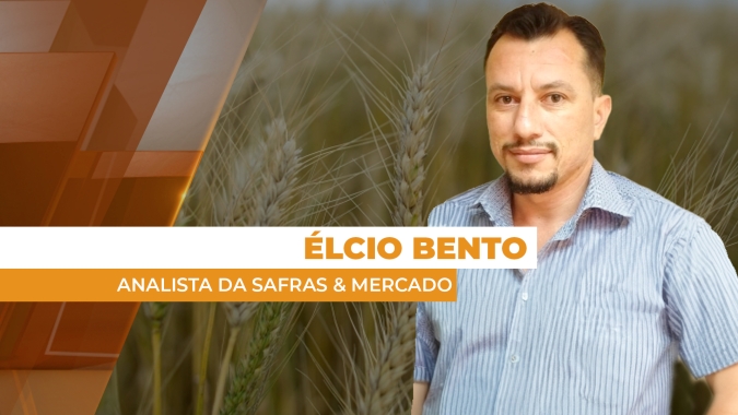 Oferta menor do que o consumo mantém força entre os preços do trigo no mercado internacional