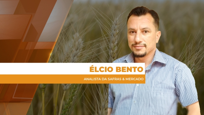 Altas no trigo devem ser pontuais e novas safras devem voltar a pressionar preços do grão