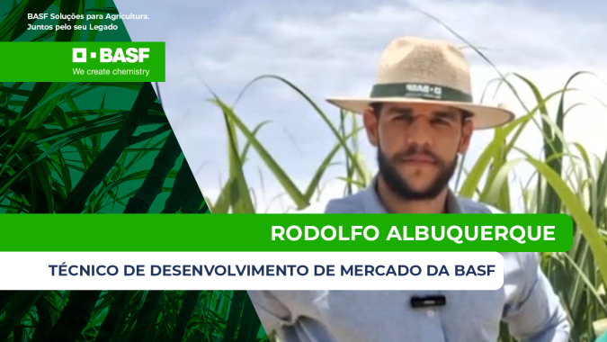 Produtividade da cana exige manejos mais eficientes e novas soluções para frear perdas no campo