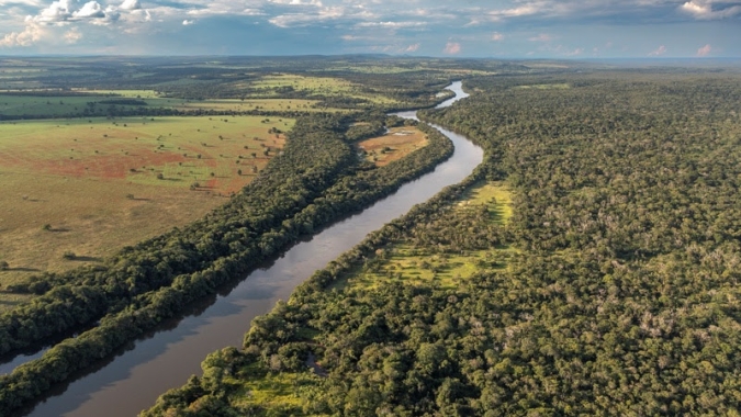 Jovens apostam em sistemas agroflorestais e outras técnicas sustentáveis para melhorar rentabilidade no campo