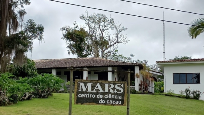Cacau: como a Mars trabalha para desenvolver uma cadeia produtiva sustentável