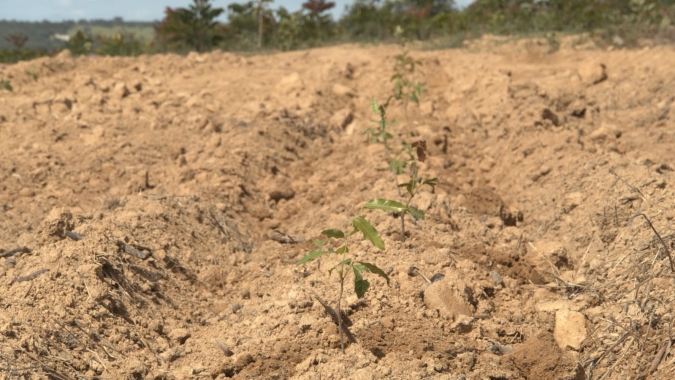 Preço das terras agrícolas cresce 108% em 5 anos no Brasil