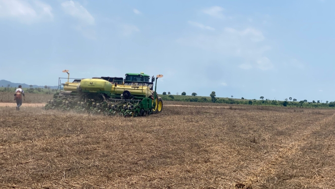 Fazenda de cooperado da Castrolanda alcança 76 sacas por hectare na soja do Tocantins