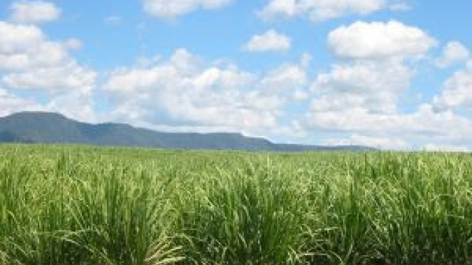 Moagem de cana no Centro-Sul deve crescer 3,6% em 2026/27
