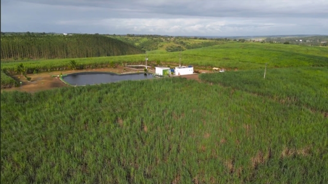 Usinas do Nordeste registram ganhos de até 92,8% na produtividade da cana com irrigação por gotejamento