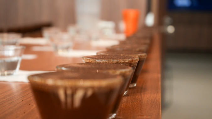 Cooxupé inicia ranking de cafés especiais colhidos na safra 2025