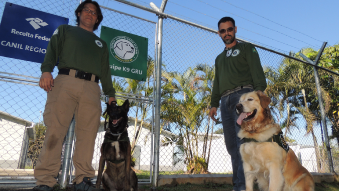 Cães farejadores do Mapa chegam ao aeroporto de Guarulhos para reforçar a fiscalização