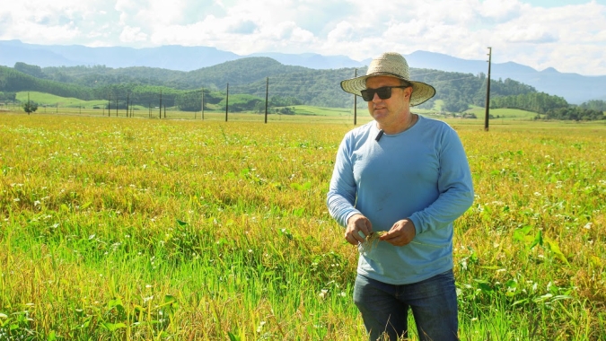 De janeiro a janeiro: parceria entre agricultores e indústrias de arroz é imprescindível o ano todo