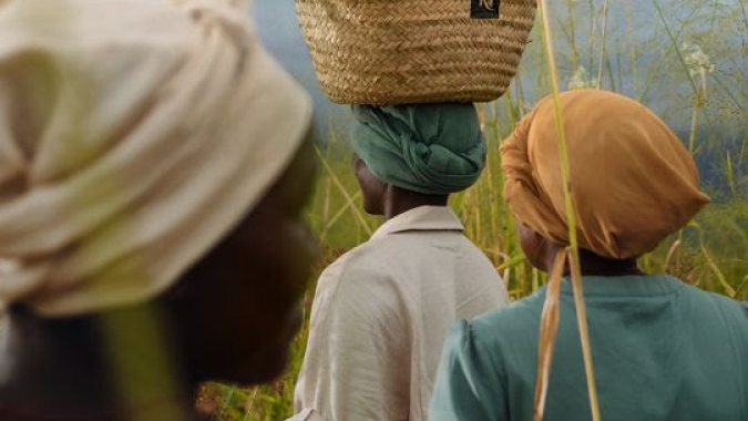 Multinacional investe em revitalização de cultura cafeeira em Uganda, Zimbábue e Colômbia