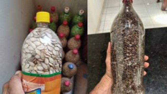Pirataria de sementes e mudas é motivo de preocupação e mobiliza a cadeia produtiva de hortaliças e flores do Brasil