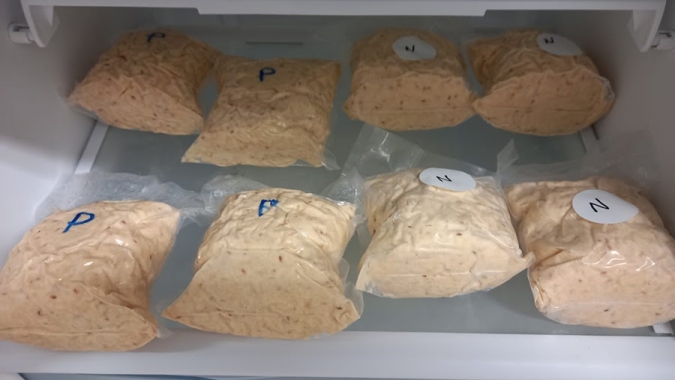 Pesquisa viabiliza uso de subproduto da soja como ingrediente para alimentos plant-based