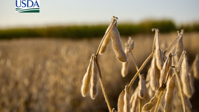USDA informa mais uma venda de soja para China nesta 4ª feira (18)