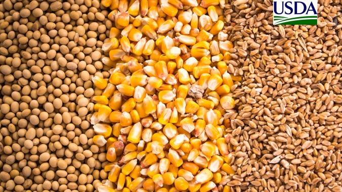 USDA: Embarques semanais de soja, milho e trigo ficam em linha com as expectativas do mercado