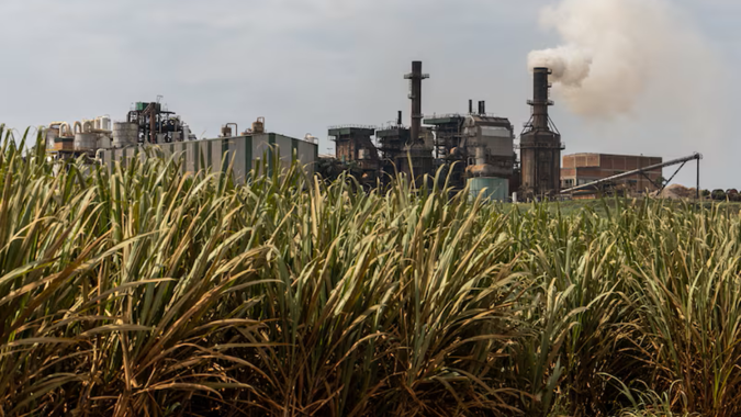 Mercado do açúcar sobe levemente, mas se mantém pressionado por safra robusta no Brasil
