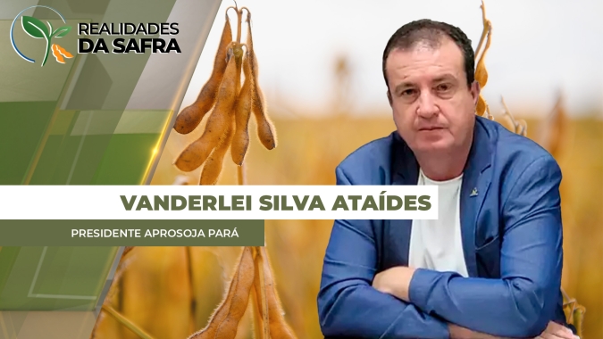 Sul do Pará avança com colheita da soja, mas plantio ainda segue no polo de Paragominas
