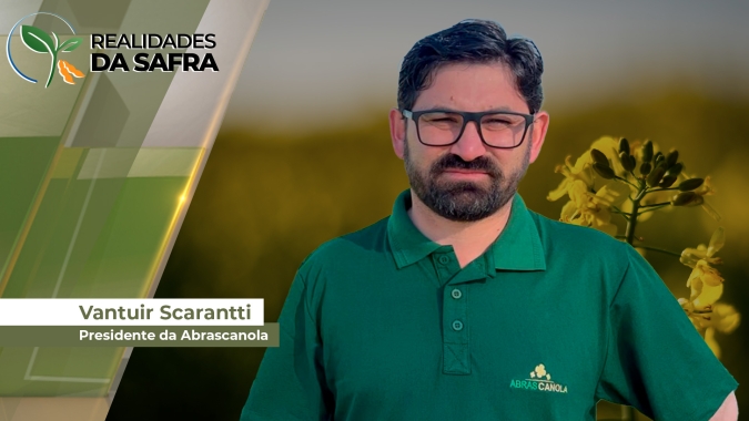 Produtividade da canola será menor do o esperado, mas ainda em patamar elevado